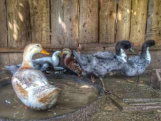 1920 X 1441 459.9 Kb ежедневка