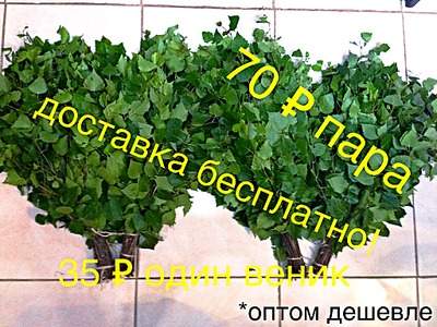 Березовые веники