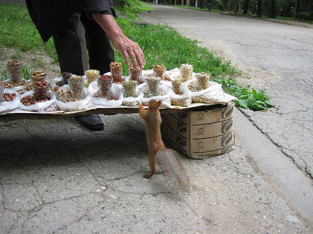 640 x 480 Улыбнемся?