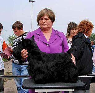 307 x 300 683 X 333 33.8 Kb   