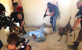 780 X 480 118.3 Kb 780 X 480 191.6 Kb 780 X 480 172.9 Kb 780 X 480 133.8 Kb 779 X 480 297.5 Kb 