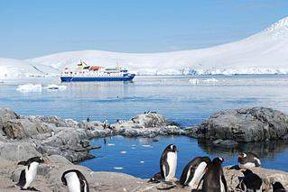 800 X 533 58.6 Kb 530 X 351 131.2 Kb 