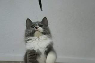 1280 X 850 79.9 Kb    !  -