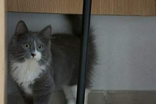 1280 X 850 98.1 Kb 1280 X 850 79.9 Kb    !  -