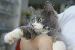 1280 X 850 110.0 Kb 1280 X 850 98.1 Kb 1280 X 850 79.9 Kb    !  -