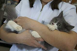 1280 X 850 123.5 Kb 1280 X 850 110.0 Kb 1280 X 850 98.1 Kb 1280 X 850 79.9 Kb    !  -