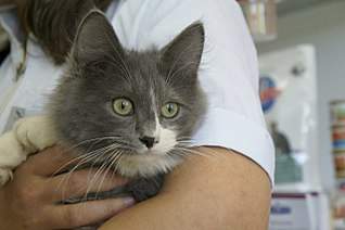 1280 X 850 142.4 Kb    !  -