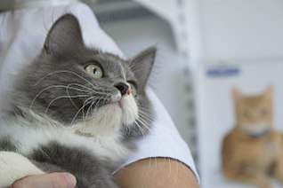 1280 X 850 105.8 Kb 1280 X 850 142.4 Kb    !  -