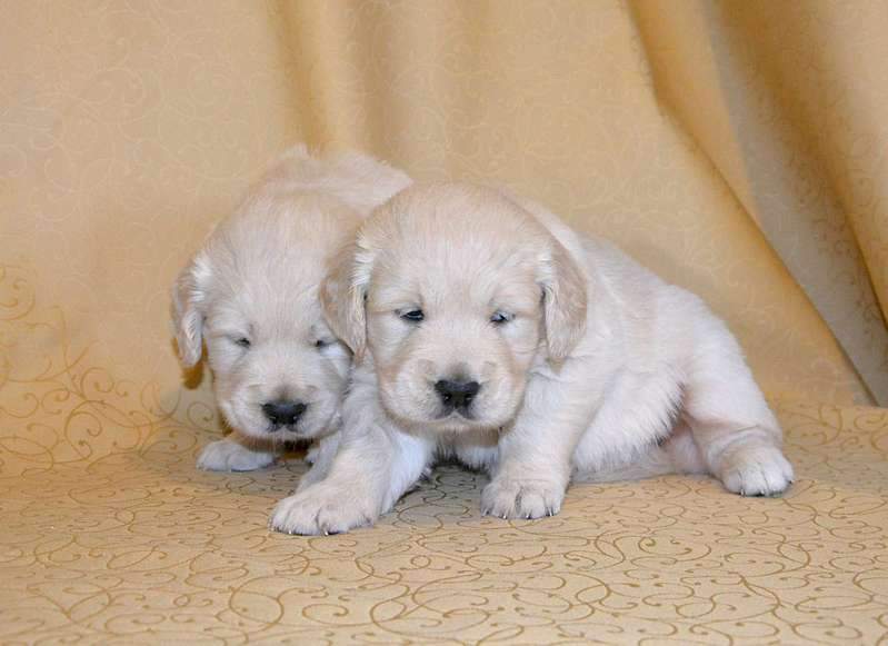 1920 X 1395 178.8 Kb    