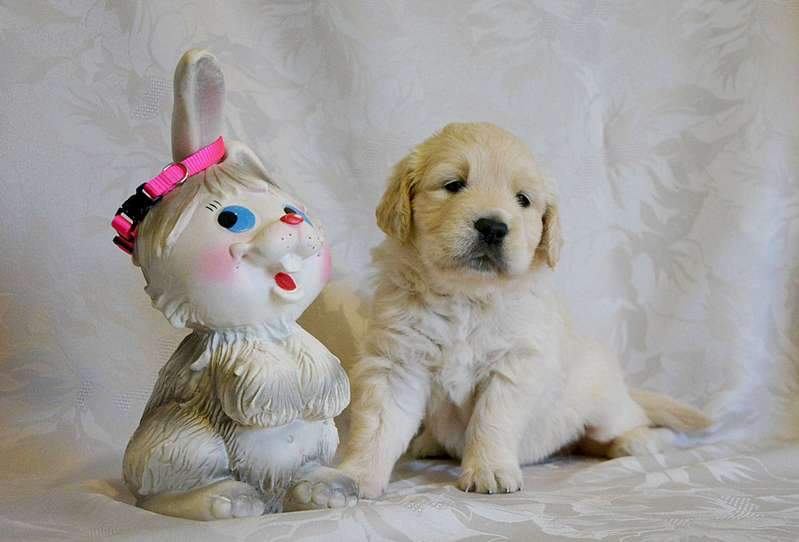 1920 X 1301 162.3 Kb    