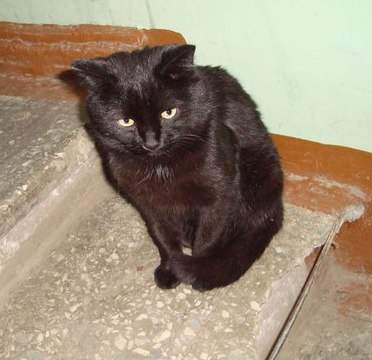 372 x 360 382 x 327     .