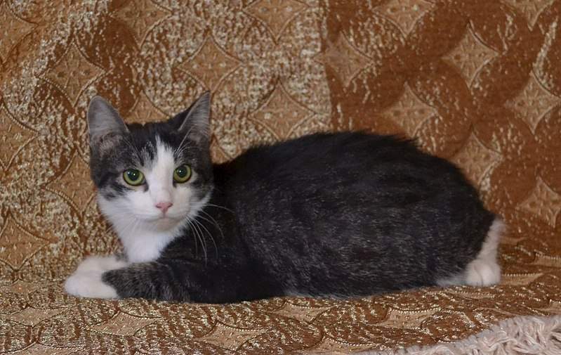 1352 X 854 242.6 Kb -   .