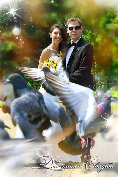 1920 X 2884 375.5 Kb 1920 X 2884 328.2 Kb    .