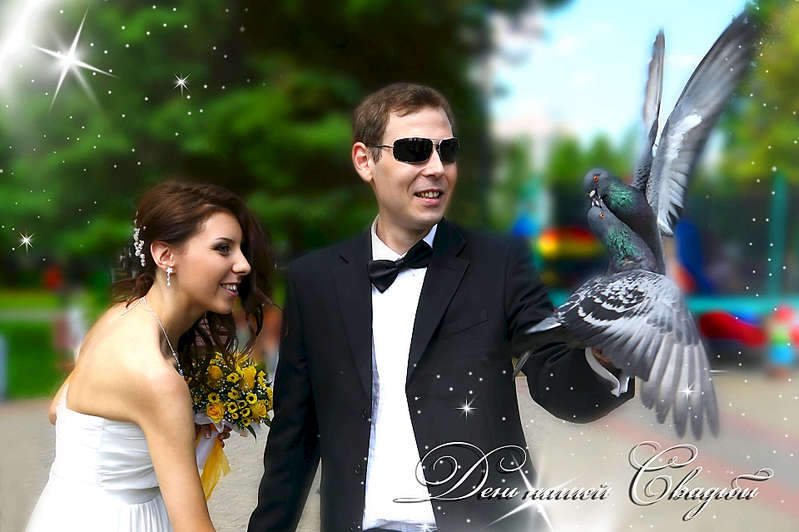 1920 X 1278 189.8 Kb 1920 X 2884 375.5 Kb 1920 X 2884 328.2 Kb    .