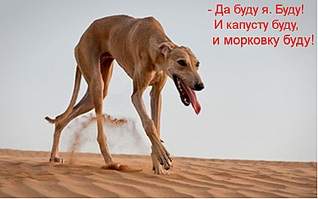 751 X 469  61.3 Kb Снова про анархотуризм (или кому дома не сидится)