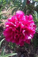 1728 X 2592 419.7 Kb 1280 X 960 558.4 Kb 1280 X 960 553.9 Kb 1920 X 1440 279.7 Kb ������ �����