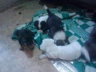 1920 X 1440 352.4 Kb 1920 X 1440 355.5 Kb 1920 X 1440 350.1 Kb  , !     ? !