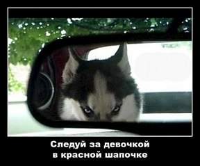 450 X 374  26.1 Kb Улыбнемся?