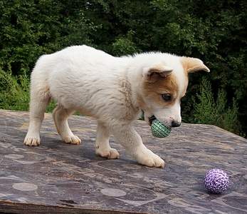 1176 X 1015 483.5 Kb 780 X 1154 384.7 Kb     