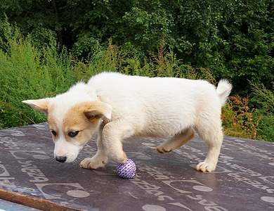 1186 X 912 441.6 Kb 1176 X 1015 483.5 Kb 780 X 1154 384.7 Kb     