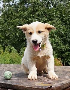 941 X 1210 545.8 Kb 827 X 1078 449.2 Kb     