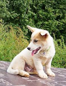 602 X 774 277.1 Kb 941 X 1210 545.8 Kb 827 X 1078 449.2 Kb     