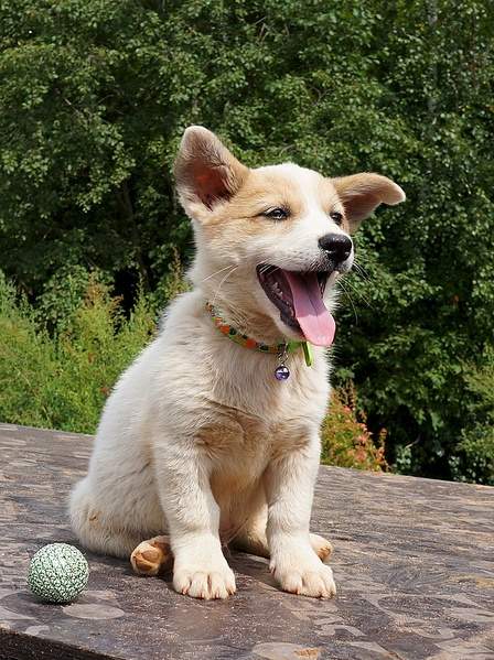 845 X 1130 451.2 Kb 872 X 1137 477.5 Kb     