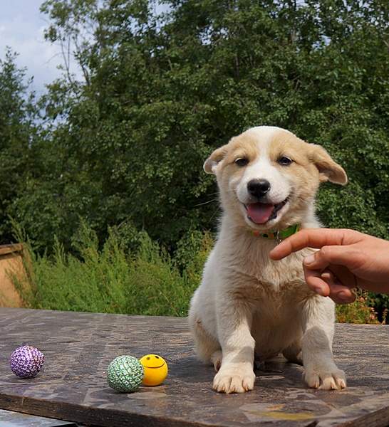 1106 X 1215 477.6 Kb     