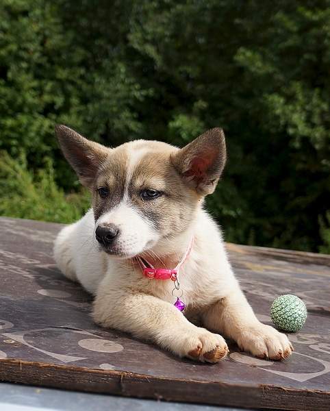 926 X 1152 328.3 Kb 861 X 1074 316.3 Kb     