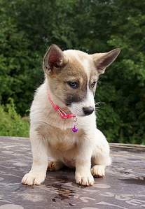 778 X 1124 298.4 Kb 1027 X 872 329.8 Kb 1058 X 708 305.1 Kb 735 X 1036 245.6 Kb 850 X 1156 315.5 Kb     