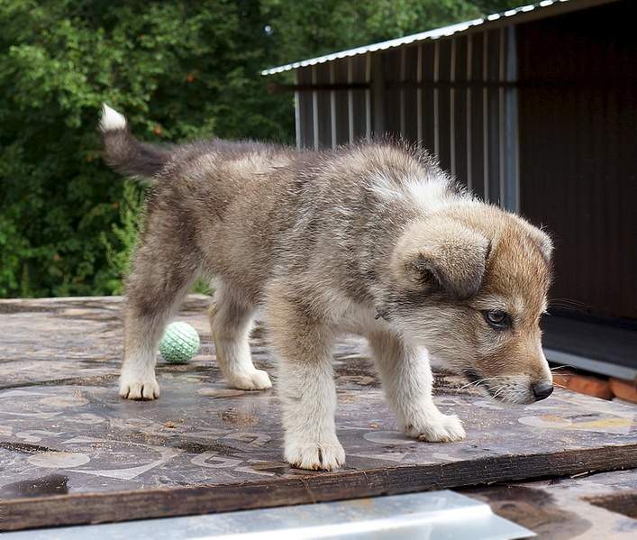 1082 X 917 357.0 Kb 712 X 998 329.5 Kb     