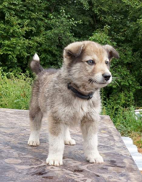 754 X 965 346.5 Kb 1082 X 917 357.0 Kb 712 X 998 329.5 Kb     