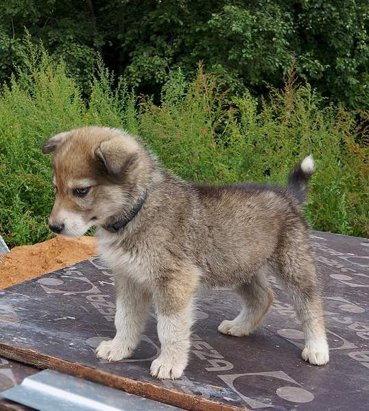 965 X 1076 494.6 Kb 554 X 938 266.0 Kb 664 X 989 309.4 Kb 722 X 915 314.6 Kb 843 X 1137 400.1 Kb     