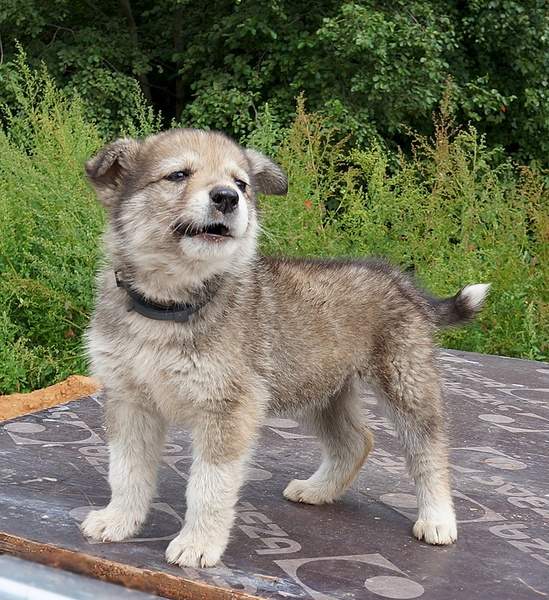 880 X 961 409.1 Kb 707 x 534     