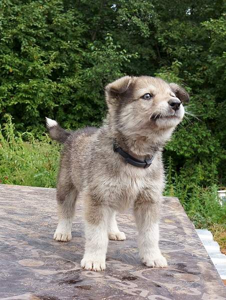 783 X 1039 374.2 Kb 1035 X 831 274.3 Kb 880 X 961 409.1 Kb 707 x 534     