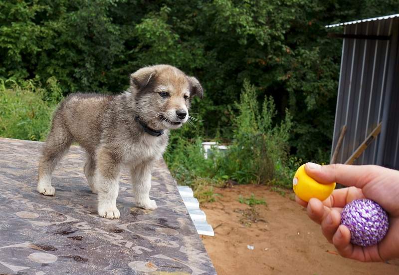 1337 X 921 421.0 Kb 783 X 1039 374.2 Kb 1035 X 831 274.3 Kb 880 X 961 409.1 Kb 707 x 534     