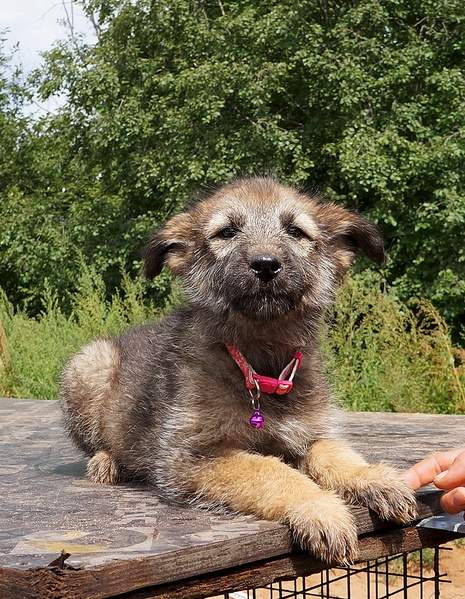 843 X 1086 508.0 Kb 652 X 963 386.3 Kb     