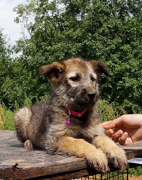 946 X 1200 660.6 Kb 843 X 1086 508.0 Kb 652 X 963 386.3 Kb     