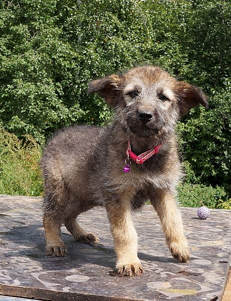 937 X 1219 640.0 Kb 946 X 1200 660.6 Kb 843 X 1086 508.0 Kb 652 X 963 386.3 Kb     