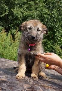 770 X 1119 397.0 Kb 1403 X 963 652.4 Kb     