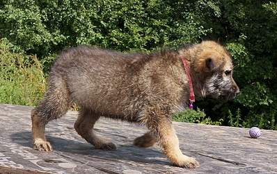 1254 X 790 499.3 Kb 854 X 965 485.9 Kb 1374 X 915 658.8 Kb 770 X 1119 397.0 Kb 1403 X 963 652.4 Kb     