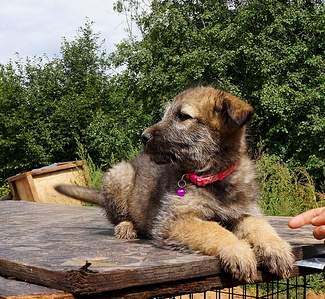 1185 X 1091 799.9 Kb 678 X 943 391.9 Kb     