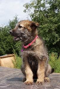 790 X 1179 454.6 Kb 1185 X 1091 799.9 Kb 678 X 943 391.9 Kb     