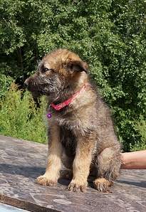 707 X 1030 385.6 Kb 790 X 1179 454.6 Kb 1185 X 1091 799.9 Kb 678 X 943 391.9 Kb     