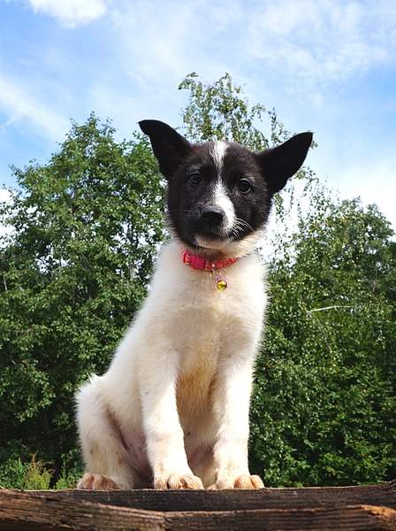 1092 X 1461 548.1 Kb 645 X 1022 340.8 Kb     