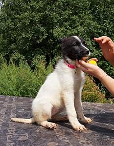 1047 X 1343 661.3 Kb     