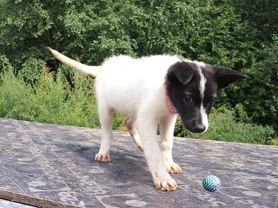 1391 X 1043 594.0 Kb 752 X 940 406.4 Kb 1047 X 1343 661.3 Kb     