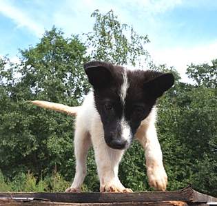 1430 X 1359 604.4 Kb 1391 X 1043 594.0 Kb 752 X 940 406.4 Kb 1047 X 1343 661.3 Kb     