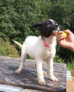 1078 X 1346 720.7 Kb 1430 X 1359 604.4 Kb 1391 X 1043 594.0 Kb 752 X 940 406.4 Kb 1047 X 1343 661.3 Kb     