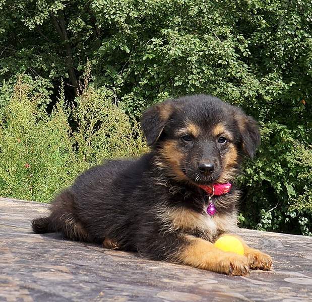 737 X 714 312.4 Kb 652 X 729 287.7 Kb 737 X 998 460.0 Kb     